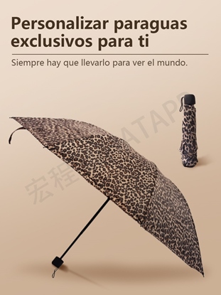 Imagen PARAGUAS DE LEOPARDO 2002