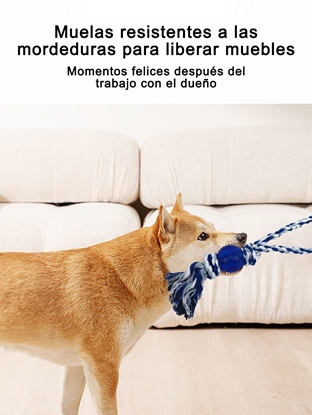 Imagen JUGUETE PARA MASCOTA 3084